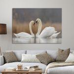 Canvas print Swans in love
