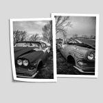Poster Old cars, diptych