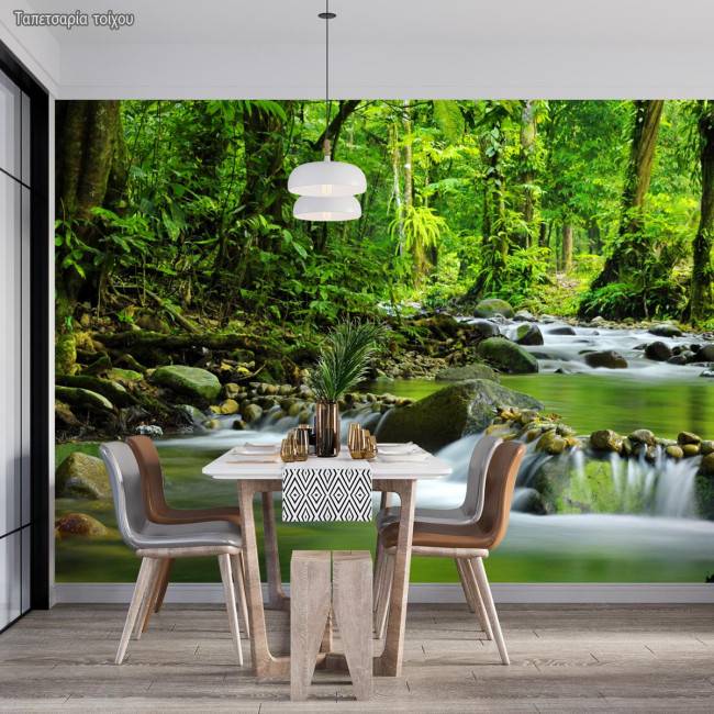 Ρυάκι Στο Δάσος ,φωτογραφική ταπετσαρία