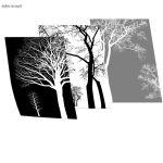 Trees grayscale αφίσα κάδρο τρίπτυχο  Αφίσα