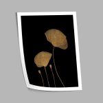 Under the moonlight αφίσα κάδρο  Αφίσα