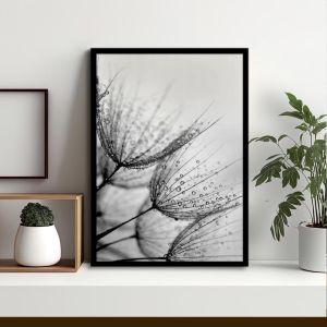 Morning dew dandelions, αφίσα, κάδρο Μαύρη κορνίζα