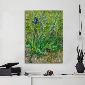 Canvas print Iris (1889), Vincent van Gogh