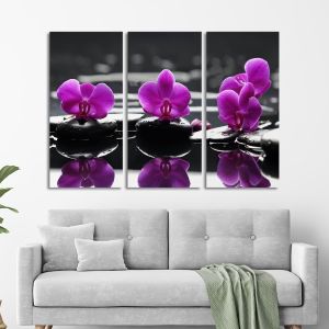 Πίνακας σε καμβά Orchids on water, τρίπτυχος