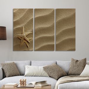 Canvas print Starfish in the sand,3 panels