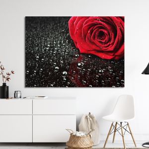 Canvas print Rose with water drops
