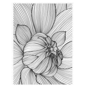 Black lined flower, Poster 2
