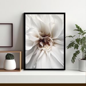 White petals, poster