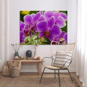 Canvas print Orchid Framed canvas View 1 2