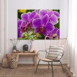 Canvas print, Orchid