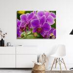 Canvas print, Orchid