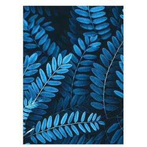 Blue acacia Poster 2