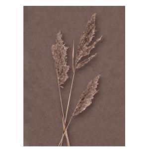 Brown reeds, poster 2