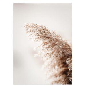 Brown bending reeds αφίσα κάδρο  Αφίσα πόστερ με μαύρη κορνίζα 2