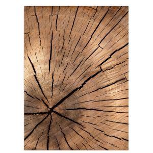 Log close up, poster 2