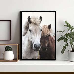 Horses αφίσα κάδρο  Αφίσα πόστερ με μαύρη κορνίζα