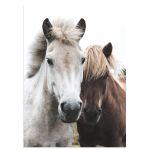 Horses αφίσα κάδρο  Αφίσα