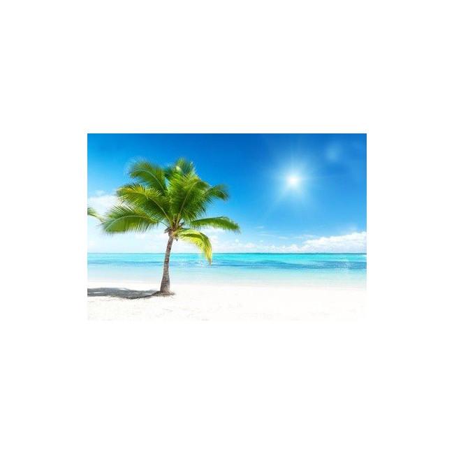 Wallpaper Palm beach