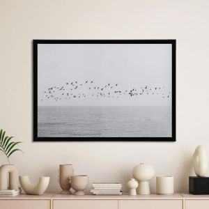Birds over sea, poster