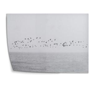 Birds over sea αφίσα κάδρο  Αφίσα πόστερ με μαύρη κορνίζα 2
