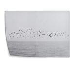 Birds over sea, poster
