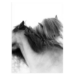 Horse hug, poster 2