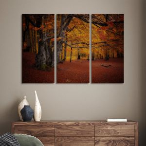 Πίνακας σε καμβά Autumn colors forest, τρίπτυχος