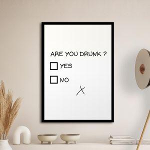 Poster Are you drunk