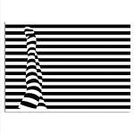 Feet illusion, Poster