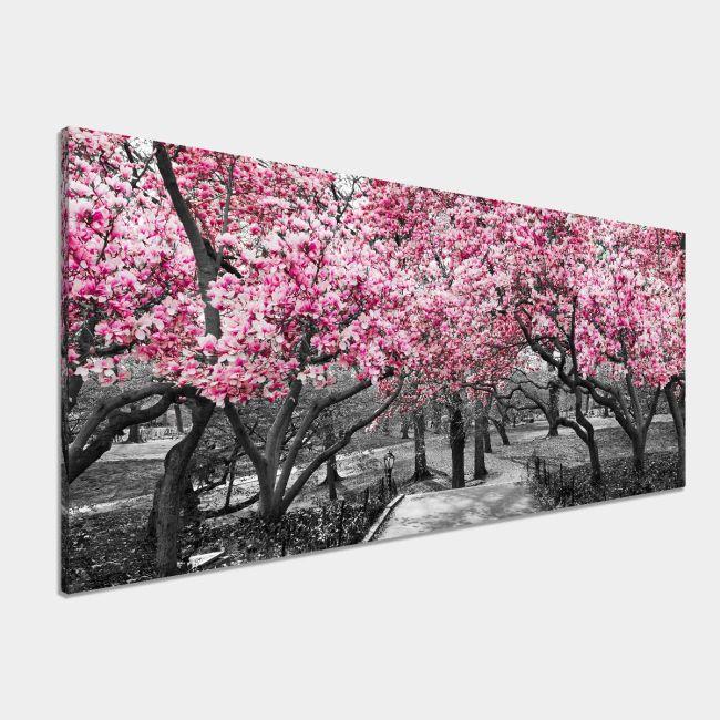 Canvas print Pink blossom central park, panoramic