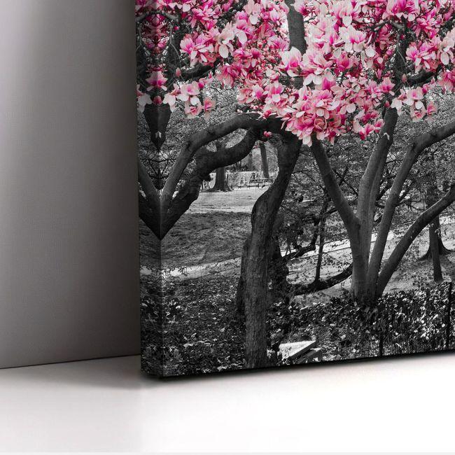 Canvas print Pink blossom central park, panoramic