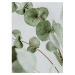 Green leaves, poster