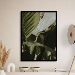 Green leaves II, poster