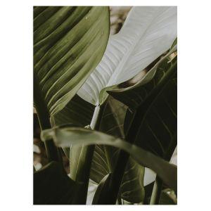 Green leaves II, poster 2