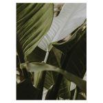 Green leaves II, poster