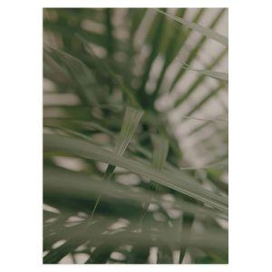 Green leaves III αφίσα κάδρο  Αφίσα πόστερ με μαύρη κορνίζα 2