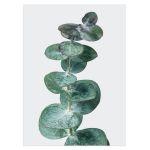 Green leaves IV αφίσα κάδρο  Αφίσα