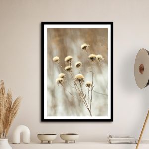 Dried flowers in winter, poster