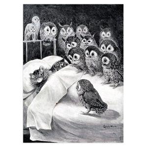 Cat's nightmare, Wain L,Poster 2