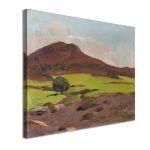 Canvas print Galatsi, Lytras