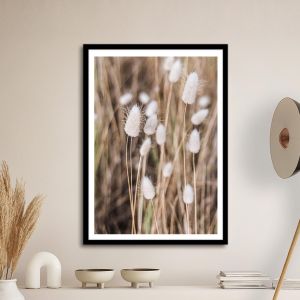 White reeds, poster