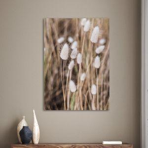 White reeds αφίσα κάδρο Καμβάς τελαρωμένος