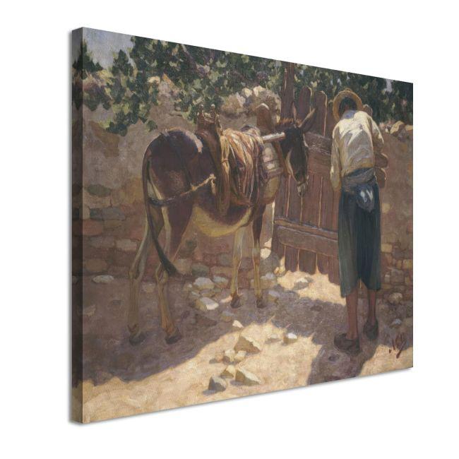 Canvas print Islander, Othonaios N
