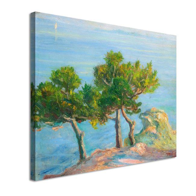 Canvas print Conifers in Chalki, Maleas
