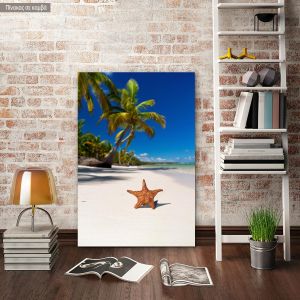 Πίνακας σε καμβά Καραϊβική, Starfish on caribbean sea beach