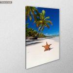 Canvas printStarfish on caribbean sea beach