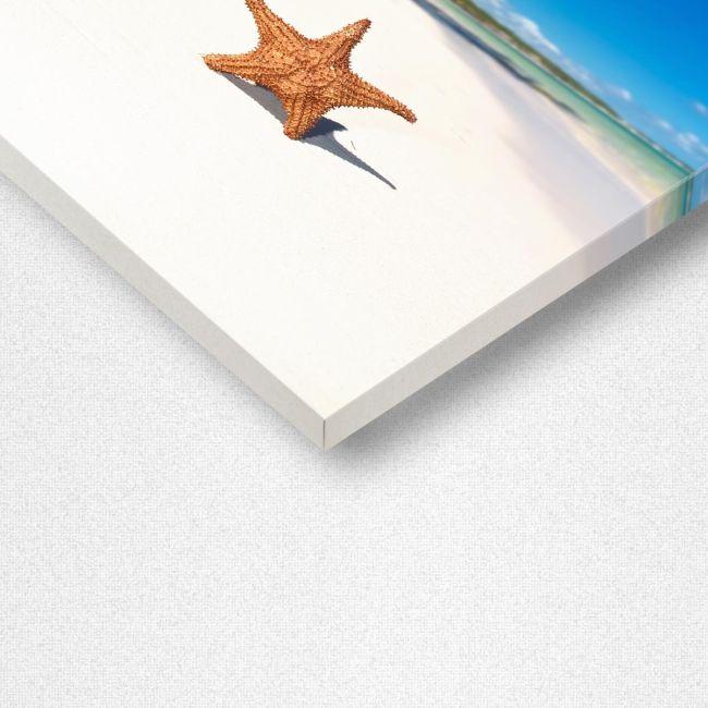 Πίνακας σε καμβά Καραϊβική, Starfish on caribbean sea beach