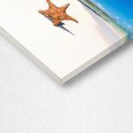 Πίνακας σε καμβά Καραϊβική, Starfish on caribbean sea beach