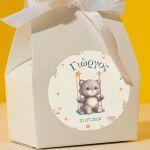 Sticker label,Cat on a swing, boy