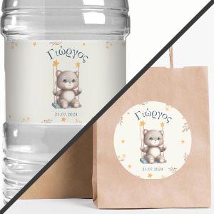 Sticker label,Cat on a swing, boy